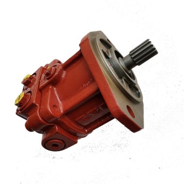 Baggerteile 14505903 VOE14505903 Lüfterpumpe Motor