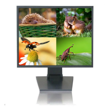 19 Inch Quad-Filter Monitor