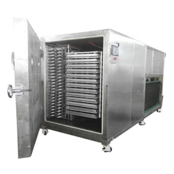 Sea Cucumber and Abalone Vacuum Freezing Drying Machine for Seafood