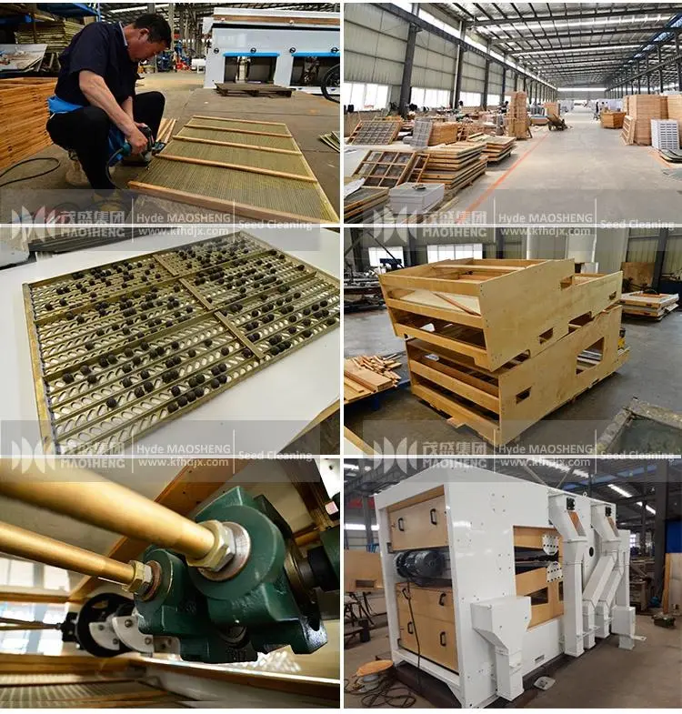 Wheat Canola Fenugreek Seed Cleaning Machine Air Screen Seed Cleaner