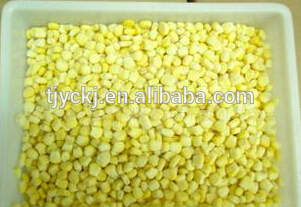 Non GMO IQF super sweet corn