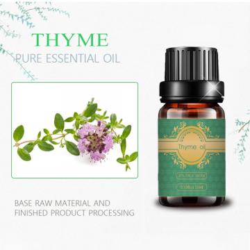 High Quality Thyme Essential Oil at Best Price