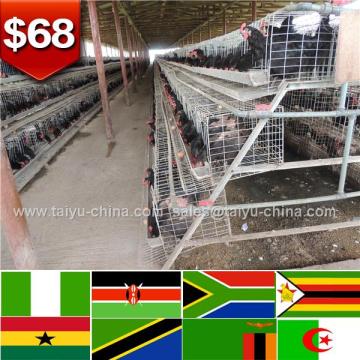 African automatic automatic chicken egg layer cage farm