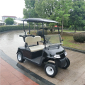 Carritos de golf para 2 personas a gas a la venta