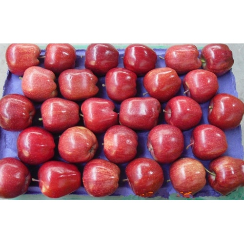 Red Delicious Huaniu Apple საუკეთესო ხარისხის