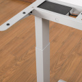 Customization Standing Desk e Alleat-Adjustable Table