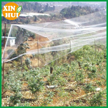 hdpe plastic mesh agriculture anti bird net