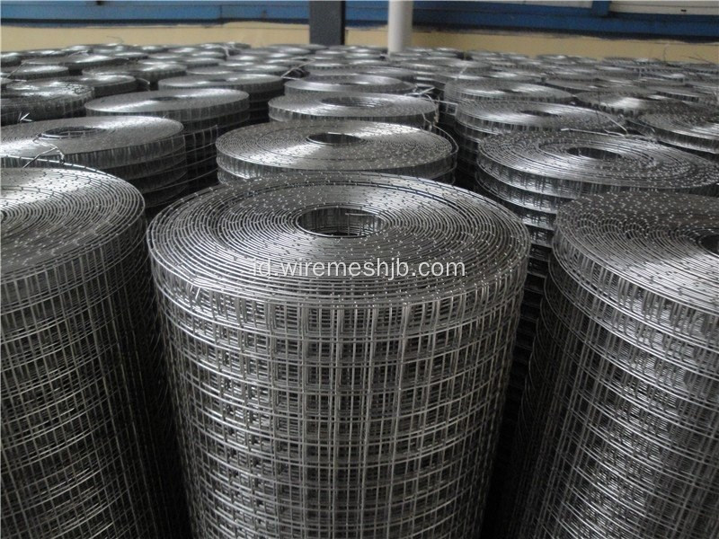 Galvanis Dilas Wire Mesh Dalam Gulungan