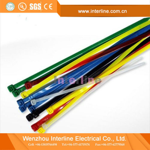 High Quality Pa 66 Nylon Cable Ties