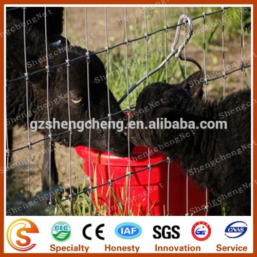 Woven wire goat wire fencing Pig mesh fence for sale