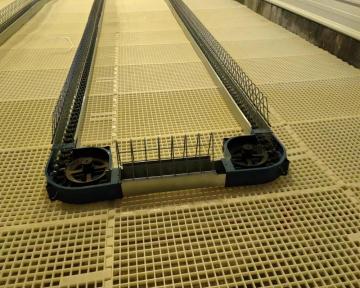 Poultry chain feeding