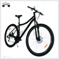 VTT 29 pouces pour homme grand