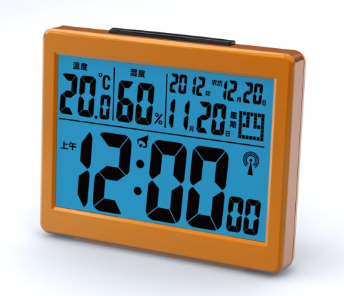 Digital Radio Controlled Clock
