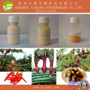 Good Quality Fungicide Azoxystrobin (95%TC, 25%SC, 25%WDG, 50%WDG, 75%WDG, 80%WDG)