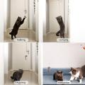 Mainan kucing kucing mainan melompat latihan mainan interaktif