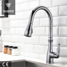 Brushed Nickel One Handle Pulldown Sprayer Faucet Taps