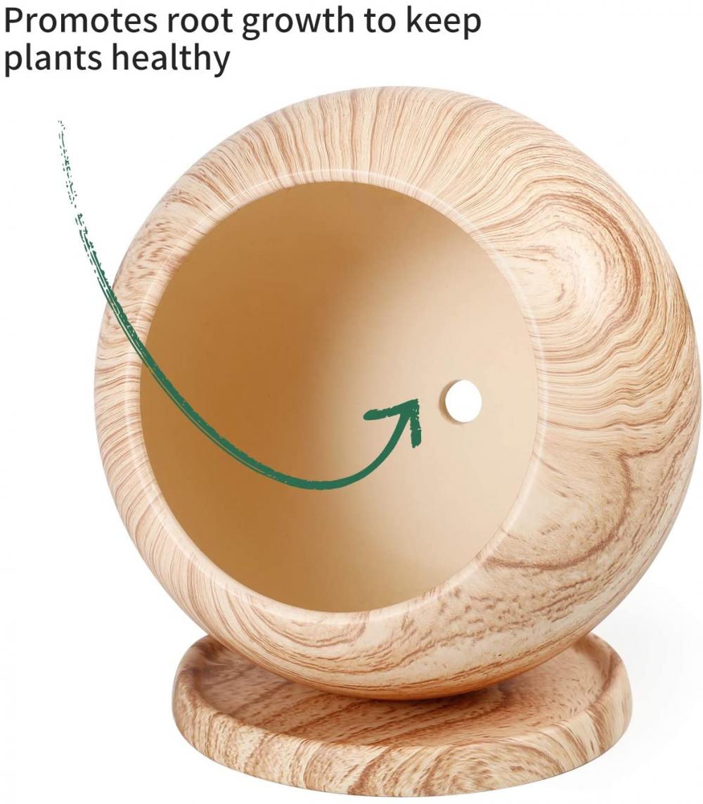 5 &quot;sırlı konteyner Bonsai drenaj deliği tabağı ile