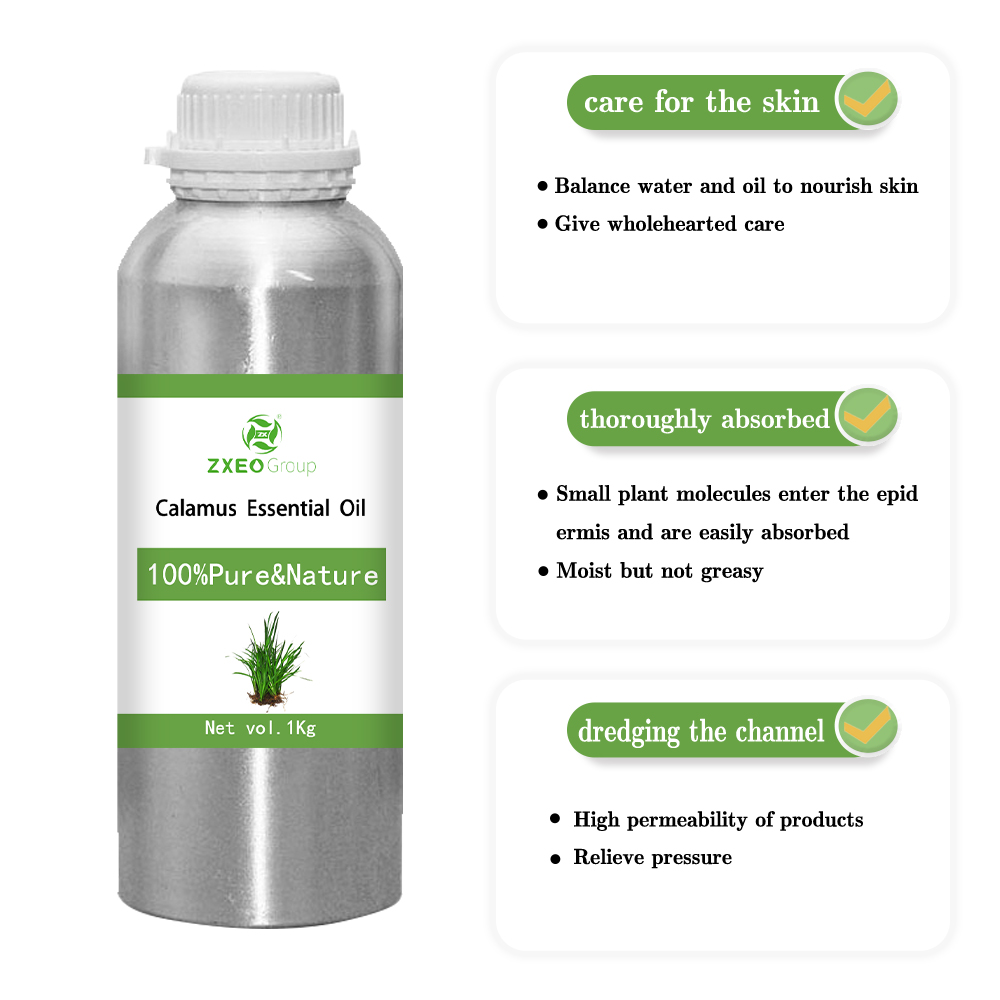 100% Pure And Natural Calamus Essential Oil High Quality Wholesale Bluk Essential Oil For Global Purchasers The Best Price