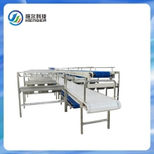 Conveyor Equipment for Sheep Slaughter and Meat Processing