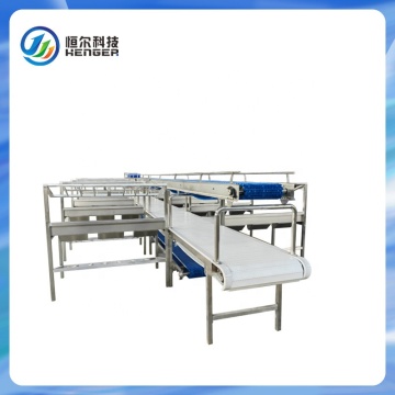 Conveyor Equipment for Sheep Slaughter and Meat Processing