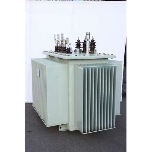 S11 Electric Oil Immersed Power Transformer