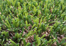 Swimming Pool Grass Turf Aritificial Gras