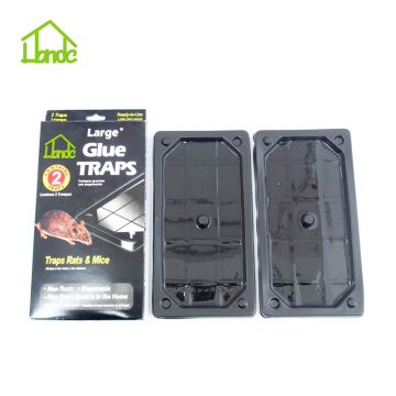 Large Glue Traps Board