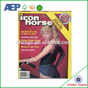 Colorful Adult Japanese Comic Book,Adult Comic Book Printing Services