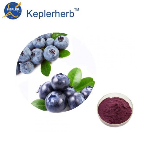 ISO factory Blueberry fruit powder