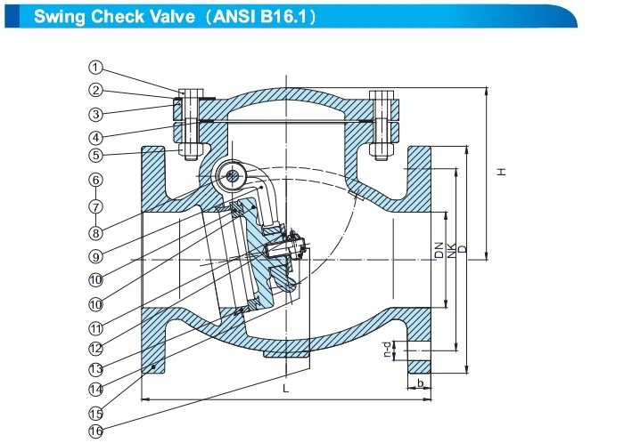 Water DIN Cast Iron Flanged Swing Rubber Check Valve Price