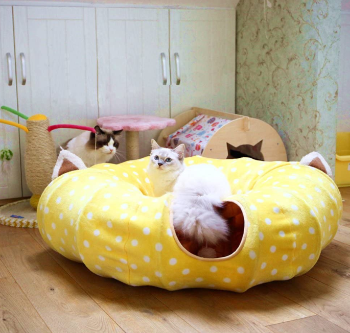 Cat Tube Toy