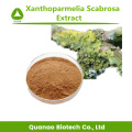 Экстракт лишайника Xanthoparmelia Scabrosa Extract Powder 10: 1