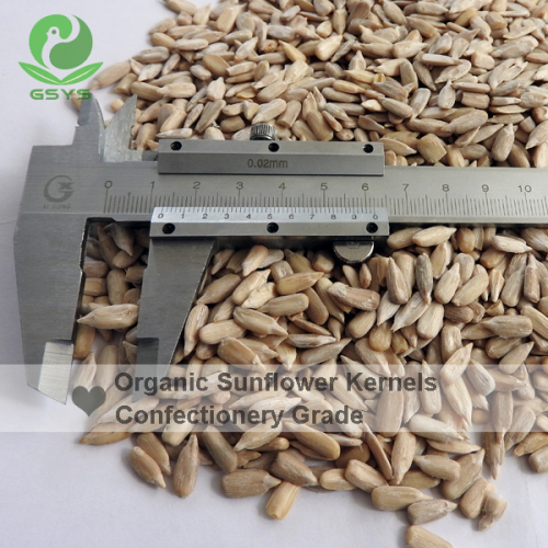 chinese organic sunflower seed kernels