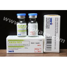 Amikacin Injektion 100mg / 2ml, 500mg / 2ml &amp; Actd / Ctd Dossier von Amikacin