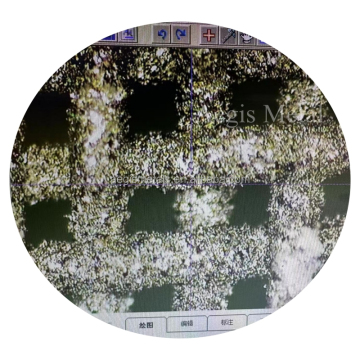 Raney Nickel Catalyst Al-Ni Alloy Coating on Nickel Wire Mesh (20-250 Mesh)