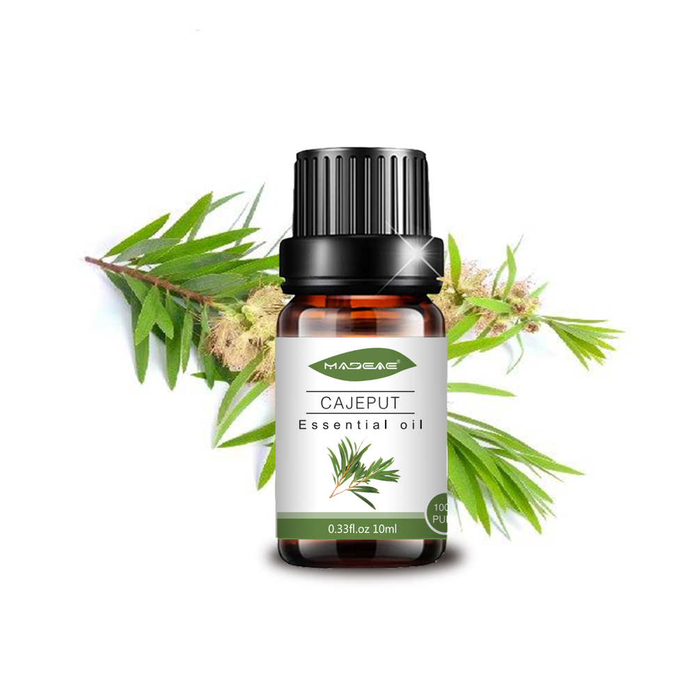 100% pure natural cajeput essentia oil therapeutil grade