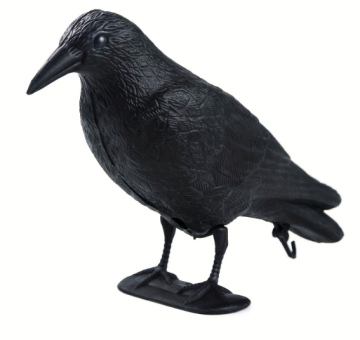2024 Trending Crow Decoys: Realistic Black Feathered Ravens for Outdoor Garden Decor and Simulation Props