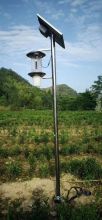mosquito solar light fuction