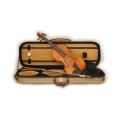 Rectangle Shape Colour Violin Hard Case