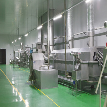 Continuous Green Bean Frying Production line
