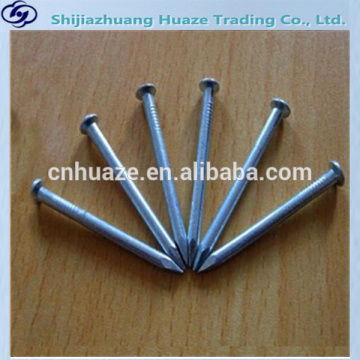 galvanized steel nails/ galvanized concrete nails/groove galvanized concrete nails