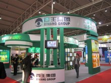 2013 IEOE china international oil expo