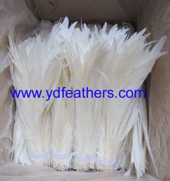 Best quality rooster/coque/cock tail for wholesale