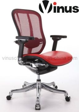 Human Engineering Chair(VBZ2-RLM-B12)