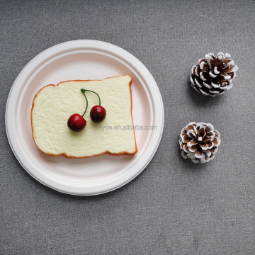 100% Compostable Biodegradable Bagasse Disposable Plate