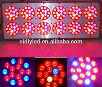 CIDLY 12 hydroponic grow cabinet 540w led grow light equal 1000w hps led grow light