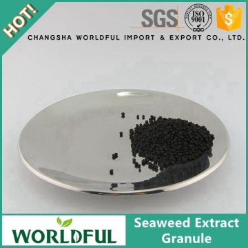 Granule Seaweed Extract Seaweed Fertilizer Seaweed Extract Fertilizer Kelp Extract Fertilizer