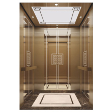 Mini indoor passenger elevator