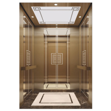 Mini indoor passenger elevator