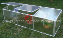 Cold Frame Greenhouse for Young Plants (C622)